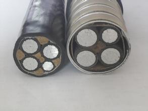 铝合金电缆</a>