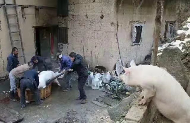 欧美性猛交XXXX乱大交3