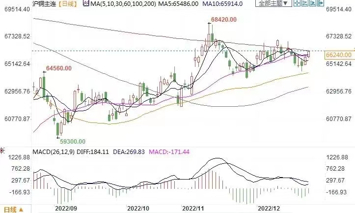 欧美性猛交XXXX乱大交3