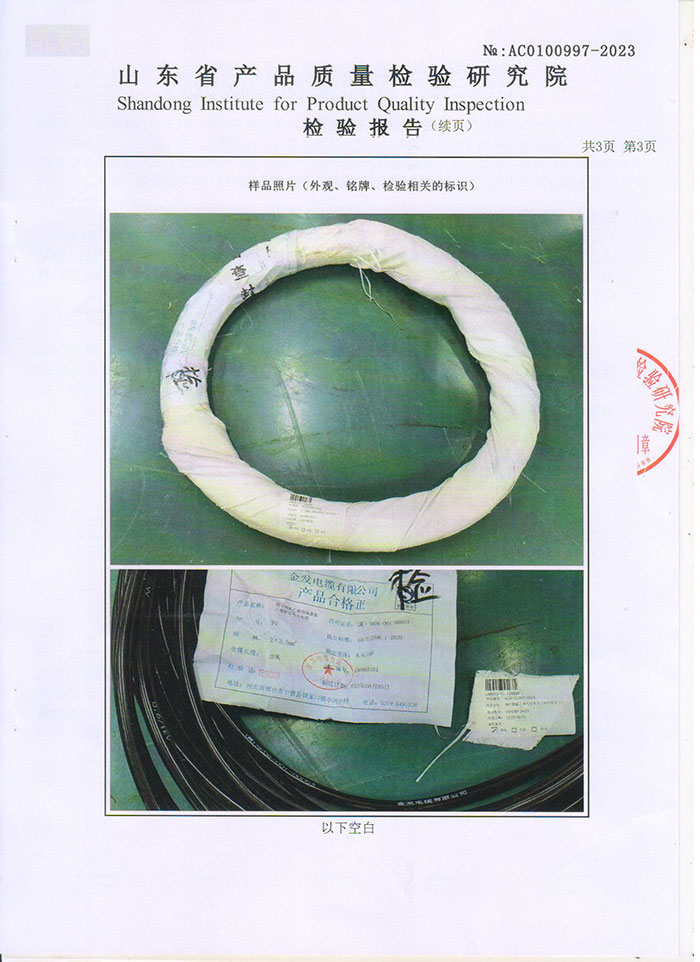 欧美性猛交XXXX乱大交3